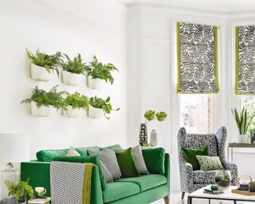 Cách trang trí cây xanh trong phòng khách thẩm mỹ hợp phong thủy